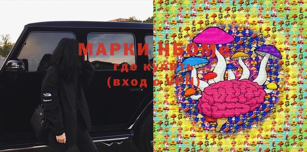 apvp Надым