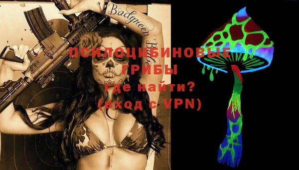 apvp Надым