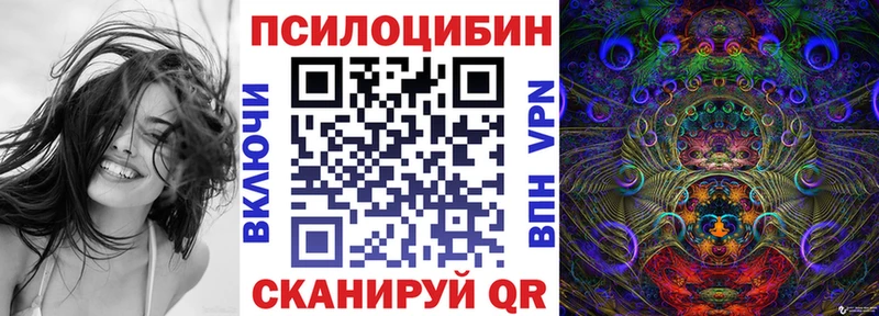 Галлюциногенные грибы MAGIC MUSHROOMS  продажа наркотиков  Кирово-Чепецк 