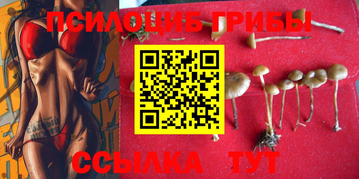 Псилоцибиновые грибы ЛСД Кирово-Чепецк