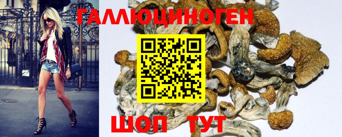 Галлюциногенные грибы GOLDEN TEACHER  Кирово-Чепецк 