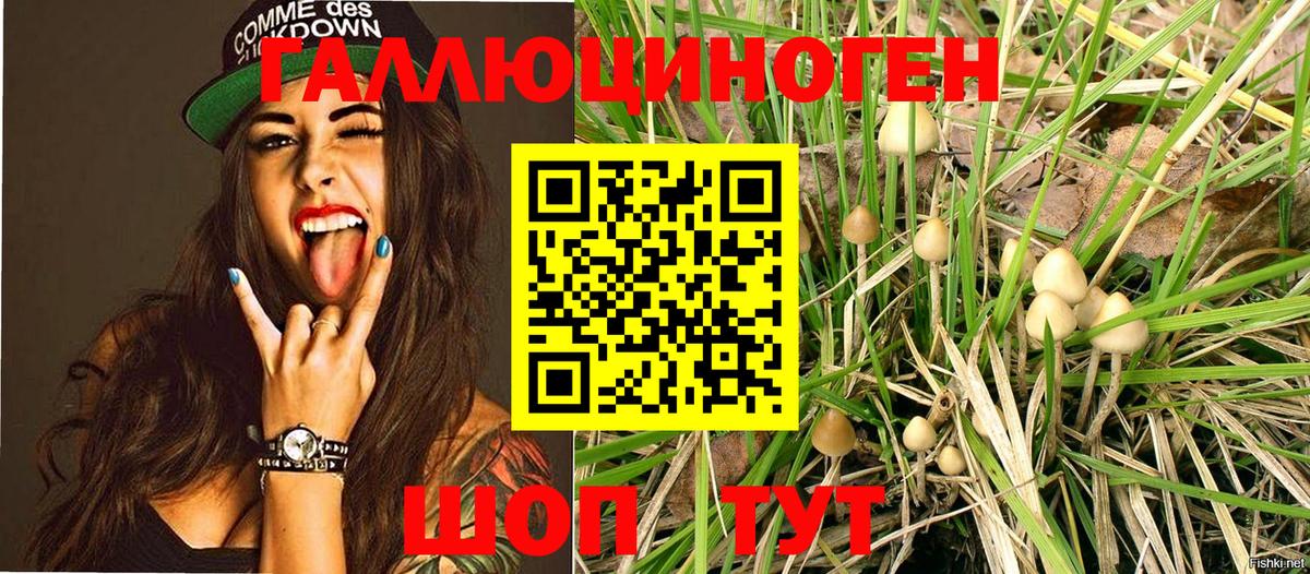 Кирово-Чепецк  Псилоцибиновые грибы ЛСД  Вход с VPN 